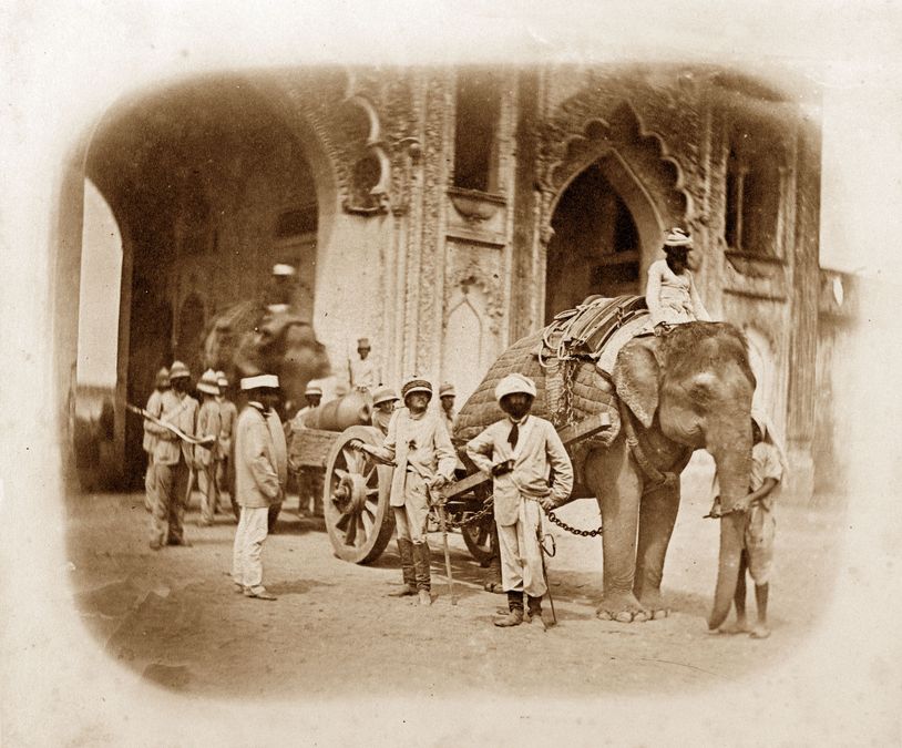 "An elephant pulling a field gun" par Felice Beato, 1858
(c) Courtesy of the Council of the National Army Museum, London
